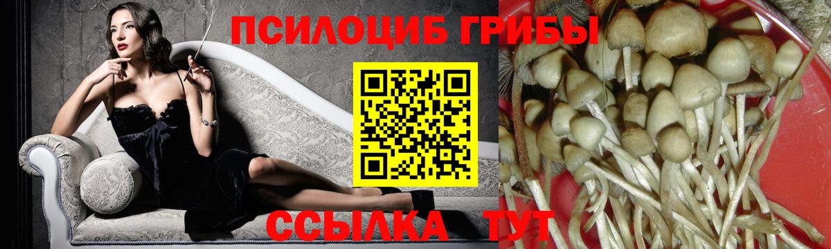 Петропавловск-Камчатский  Галлюциногенные грибы Cubensis  Вход с VPN  Псилоцибиновые грибы Magic Shrooms 