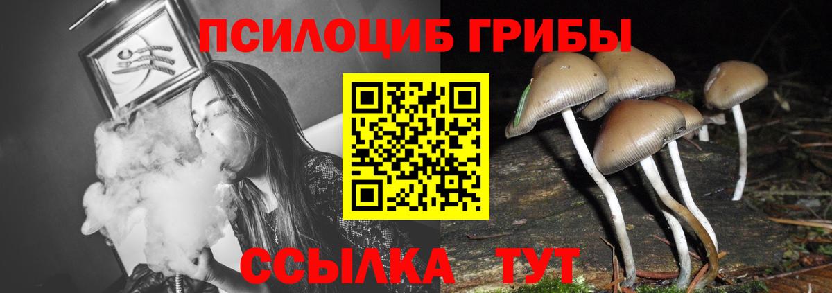 Галлюциногенные грибы прущие грибы Петропавловск-Камчатский